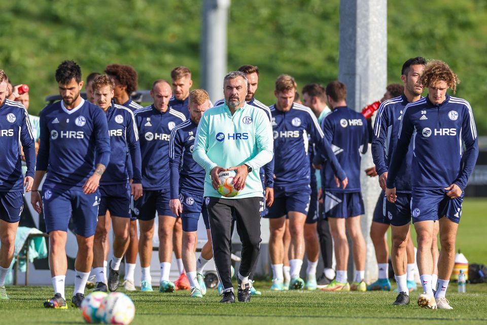 Pelatih Baru Schalke 04 Pesimis Dengan Timnya Sendiri