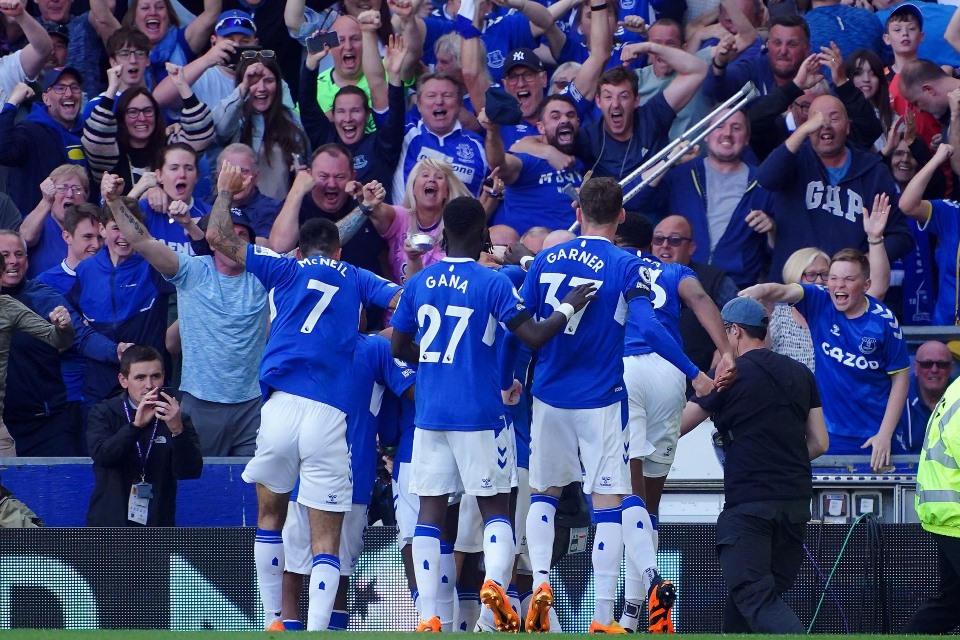 Selebrasi Suporter Everton Selamat Dari Degradasi Seperti Sudah Juara Saja