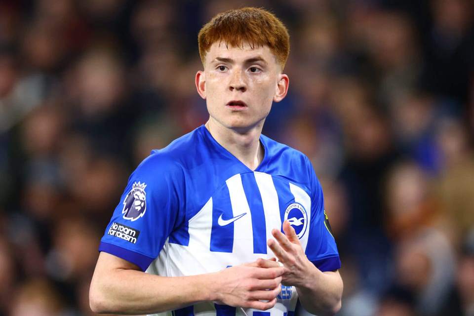 5 Calon Pemain Penting Brighton di Masa Mendatang