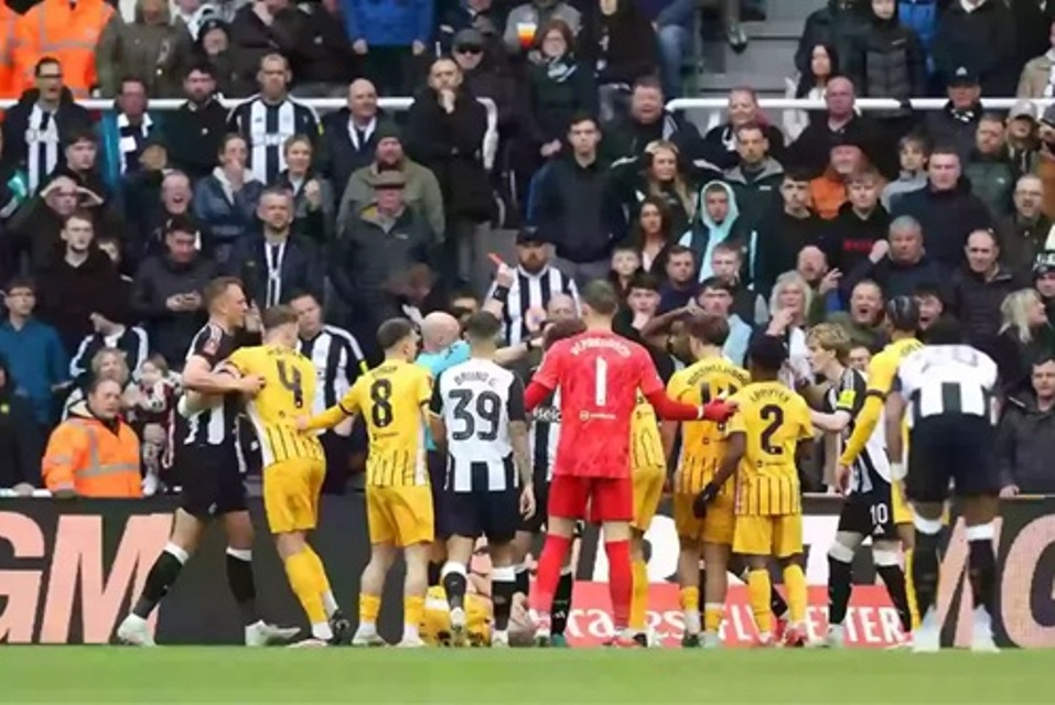 Newcastle Brighton