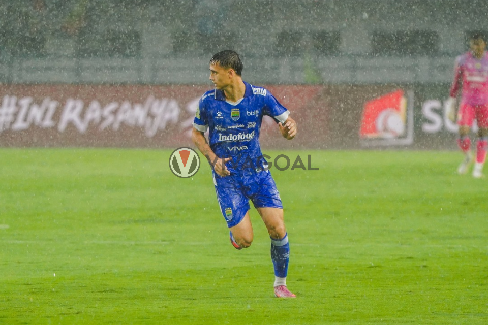 Eliano Reijnders, Pemain Persib Bandung.