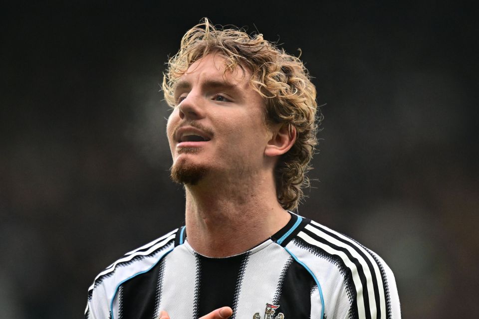 Nick Woltemade Buat Newcastle Ikhlas Gelontorkan 75 Juta Untuknya