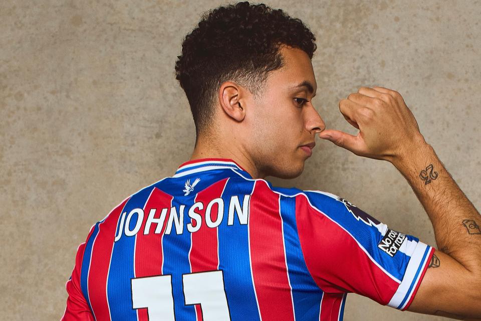 Brennan Johnson, Pemain Baru Crystal Palace