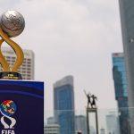 fifa asean cup